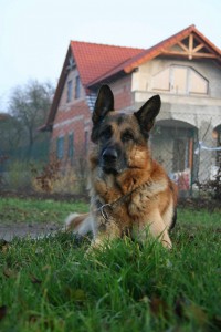 Šilo - najlepší NO na svete