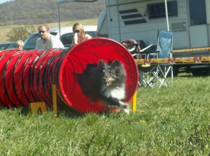 Arin v tuneli (autor: Anita Brúhová)