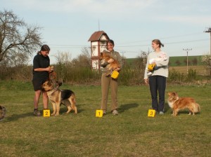 Súčet SA 3 (autor: Anita Brúhová)