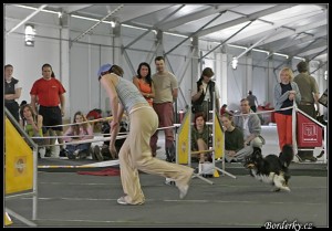 Finálový beh, ktorým sme si vybojovali tretie miesto.